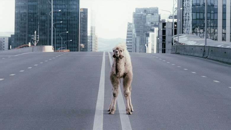 кадр из фильма Чимээгүй хотын жолооч