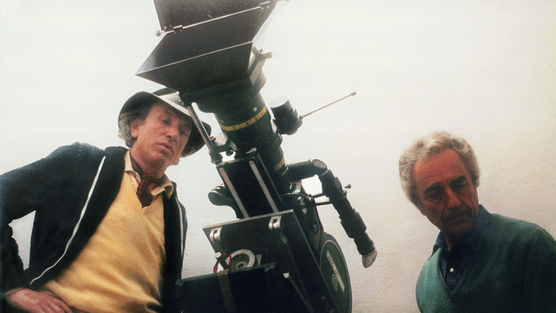 кадр из фильма Acqua e zucchero – Carlo Di Palma: i colori della vita