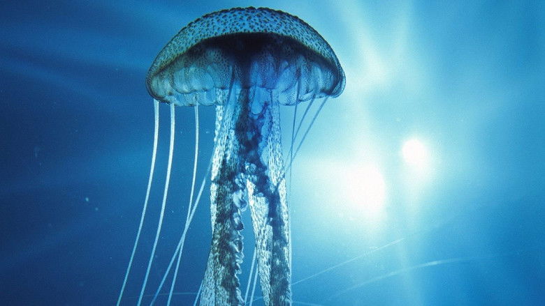 кадр из фильма Into the Deep