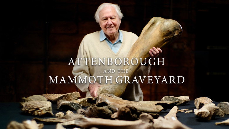 кадр из фильма Аттенборо и Кладбище Мамонтов