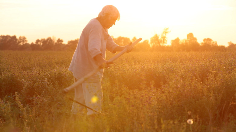 кадр из фильма Земля Івана