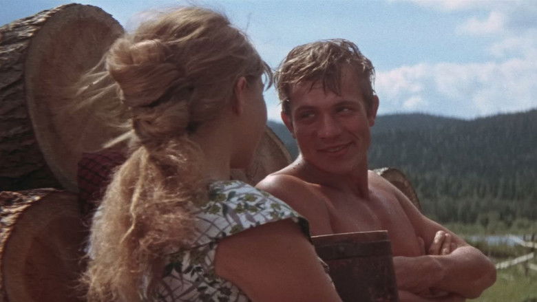 кадр из фильма Таежный десант