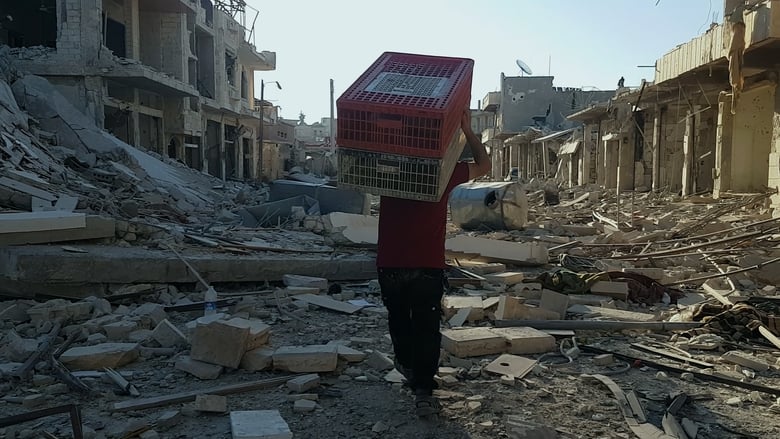 кадр из фильма Kedi Adam