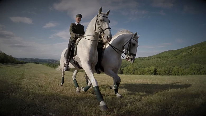 кадр из фильма A lipicai