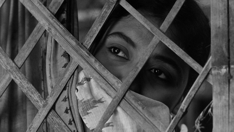 кадр из фильма Звезда за темной тучей