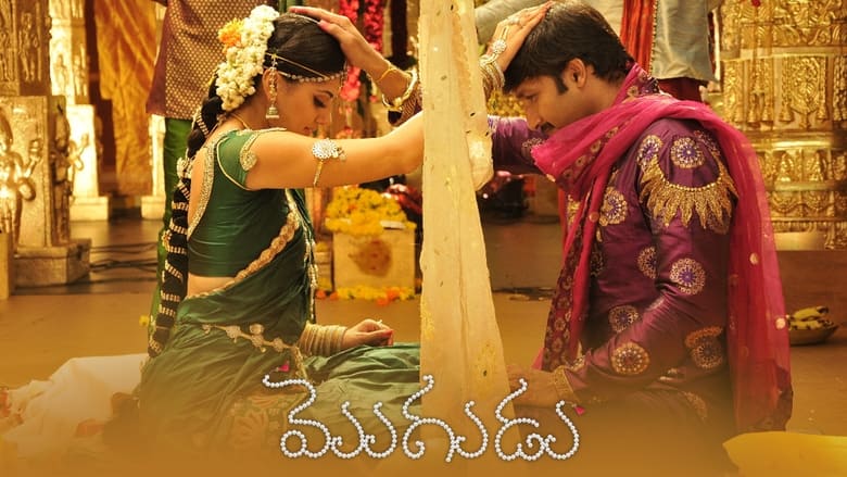 кадр из фильма మొగుడు