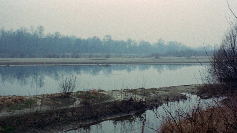 кадр из фильма Теорема