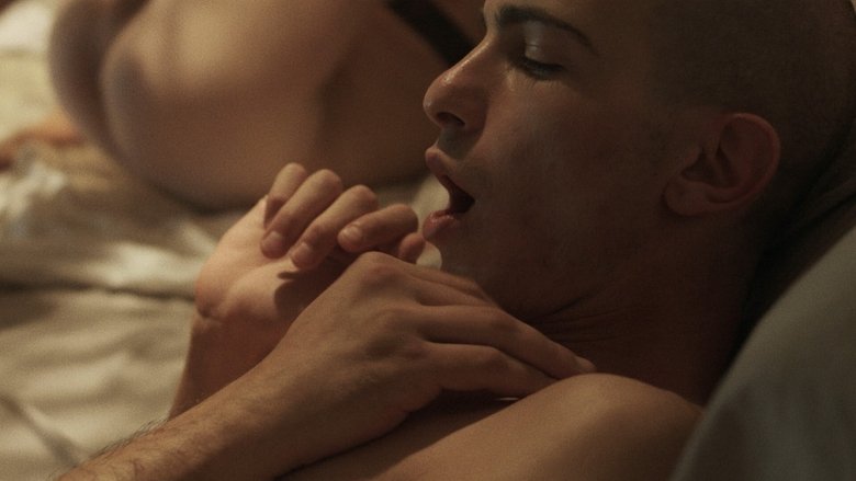 кадр из фильма Night of Love