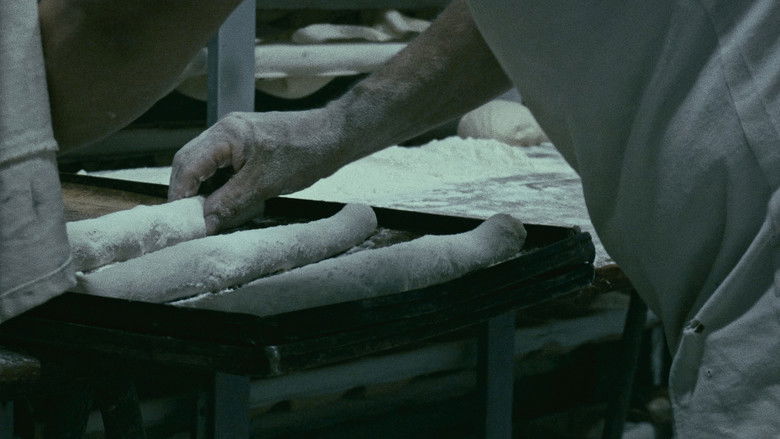 кадр из фильма La Mecánica del Cine