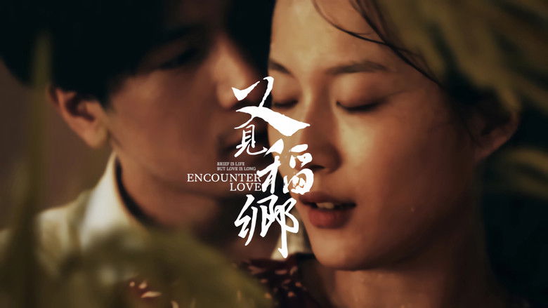 кадр из фильма 又见稻乡