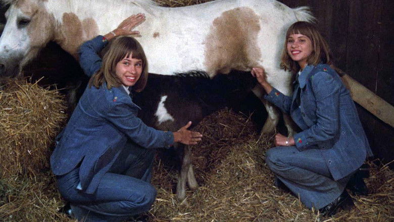 кадр из фильма Frühling auf Immenhof