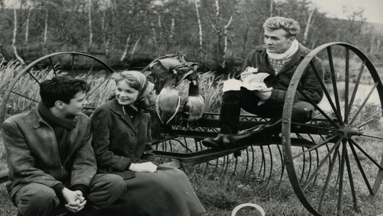 Jul i Skovridergaarden