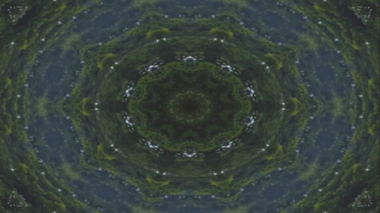 кадр из фильма Fleshworm Dreams