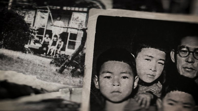 кадр из фильма Миядзаки: Душа природы