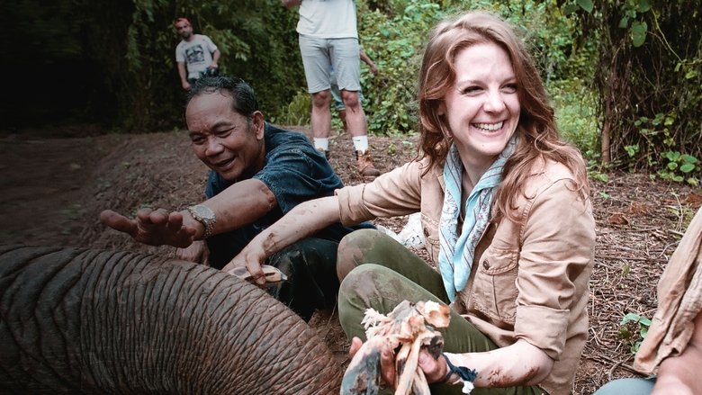 кадр из фильма Love & Bananas: An Elephant Story