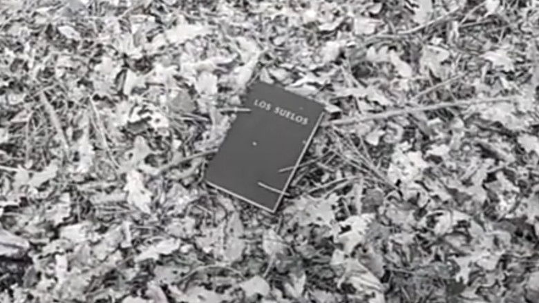 кадр из фильма Los Suelos