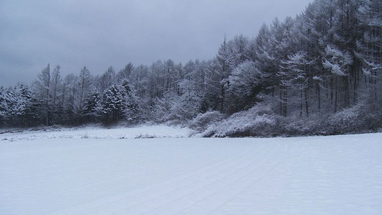 кадр из фильма 레바논 감정