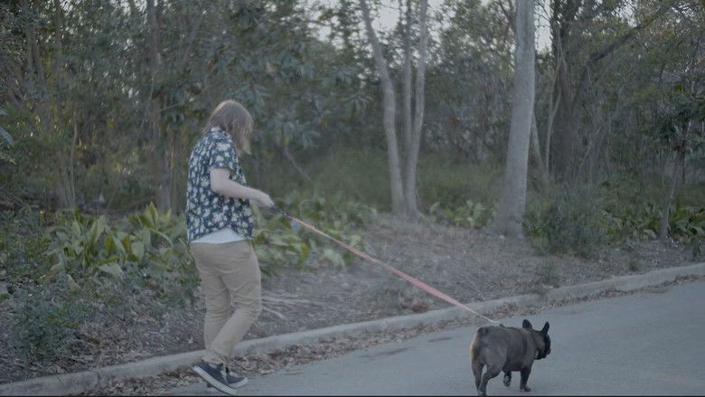 кадр из фильма The Life of a Satire Influencer