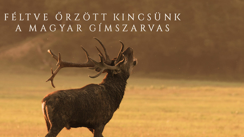 кадр из фильма Féltve őrzött kincsünk, a magyar gímszarvas