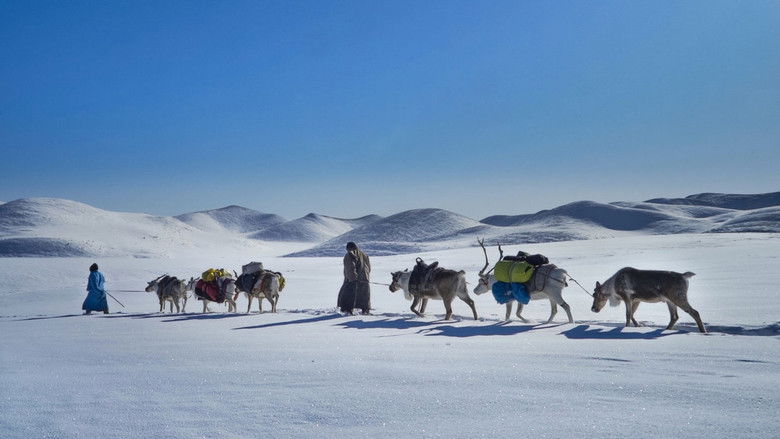 кадр из фильма Winter Taiga