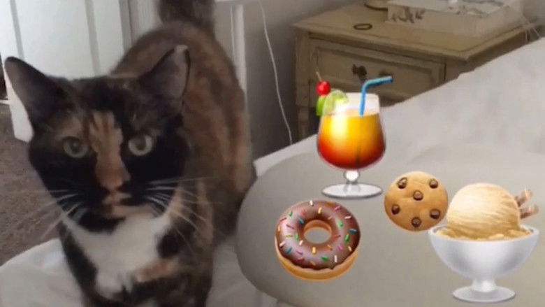 кадр из фильма The Adventures of Murphy the Cat #7