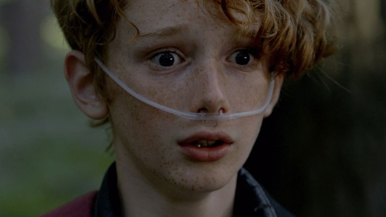 кадр из фильма Noah