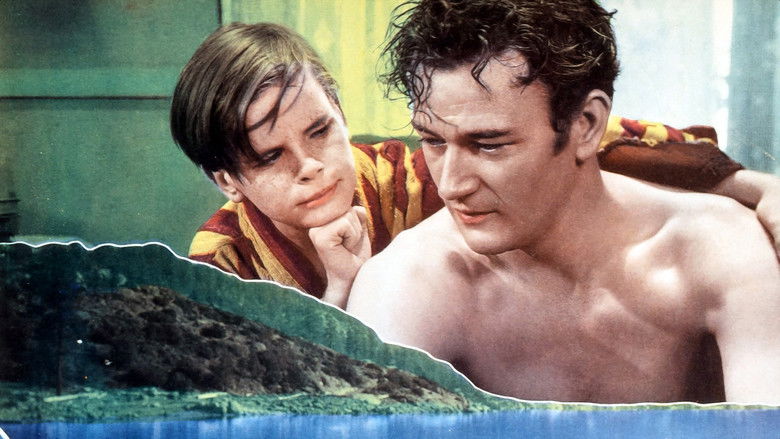 кадр из фильма Conflict