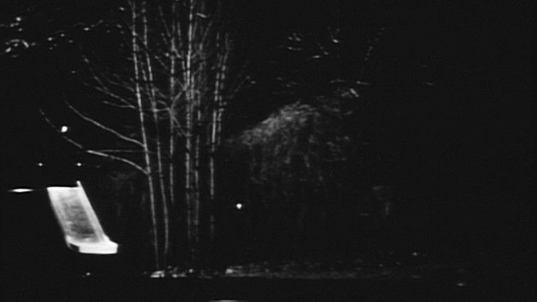 кадр из фильма Nocturne