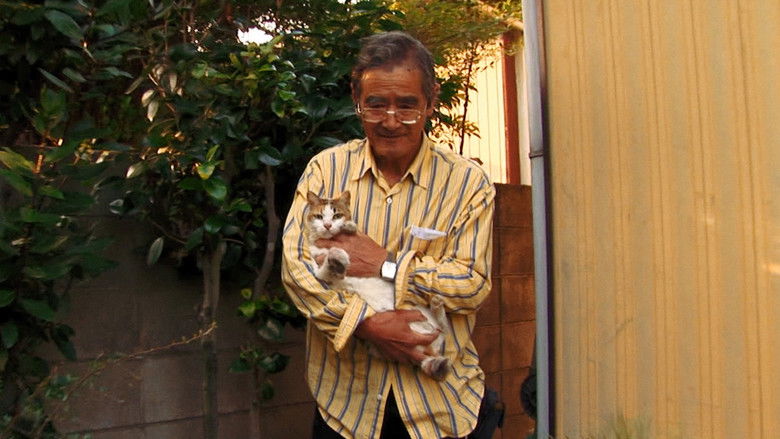 кадр из фильма Спокойствие