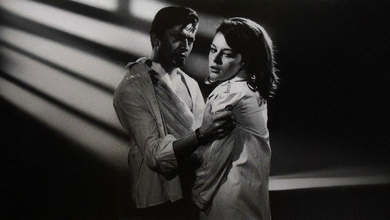 кадр из фильма İntikam Ateşi