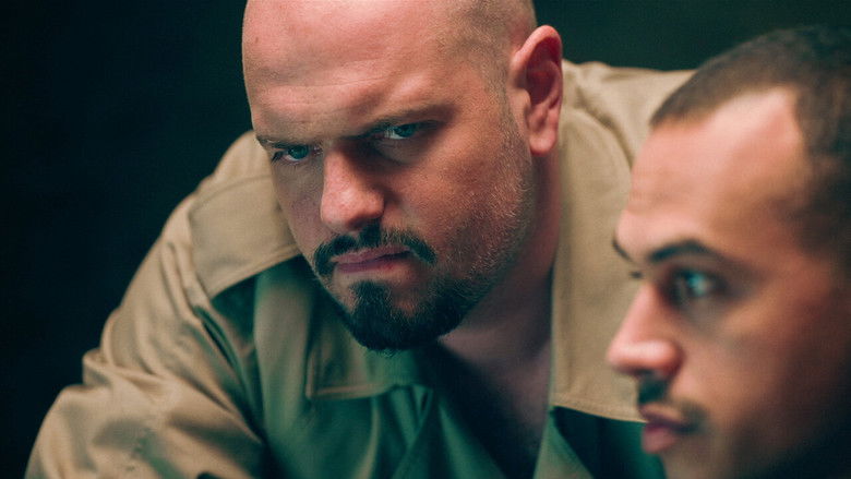 кадр из фильма Haita de acțiune