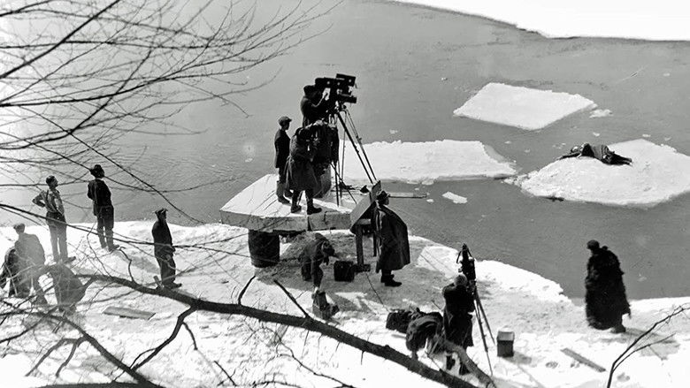 кадр из фильма Водопад жизни