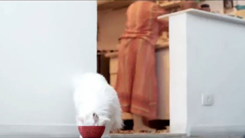 кадр из фильма Kafcat