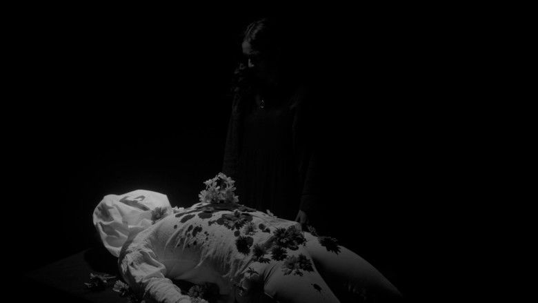 кадр из фильма M. P.