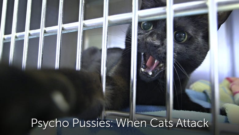 кадр из фильма Psycho Pussies: Mad Cat Attacks