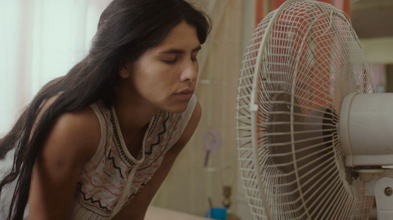 кадр из фильма Пробуждение муравьёв