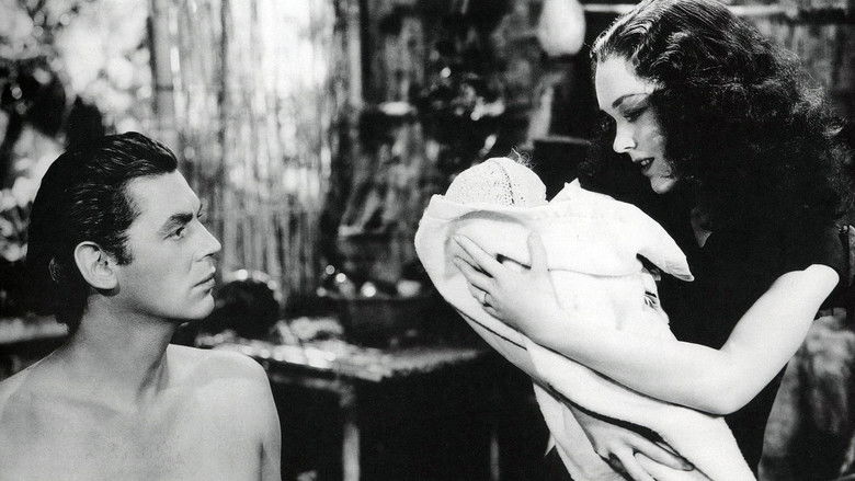 кадр из фильма Тарзан находит сына