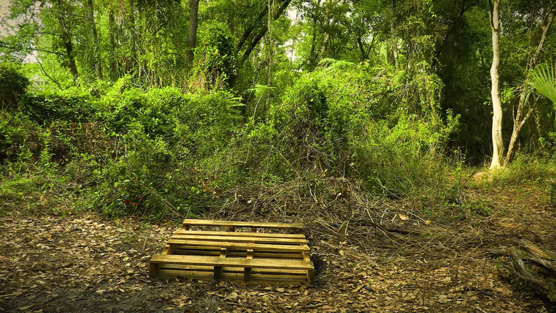 кадр из фильма Boomerang