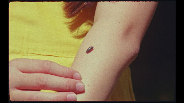 кадр из фильма Heirloom