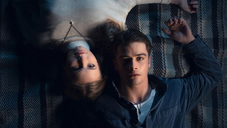 кадр из фильма Look to the Light