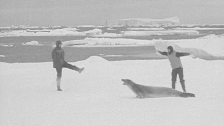 кадр из фильма Antarctica 1948