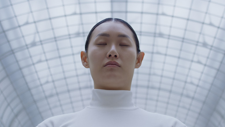 кадр из фильма Memory of a Mycelium