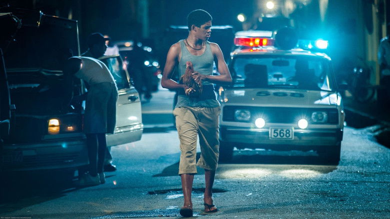 кадр из фильма El Rey de La Habana