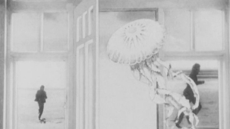 кадр из фильма The Jellyfish