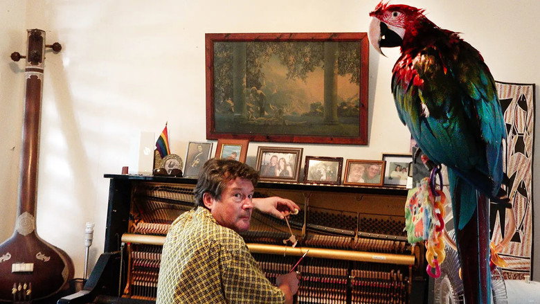 кадр из фильма The Piano Tuner