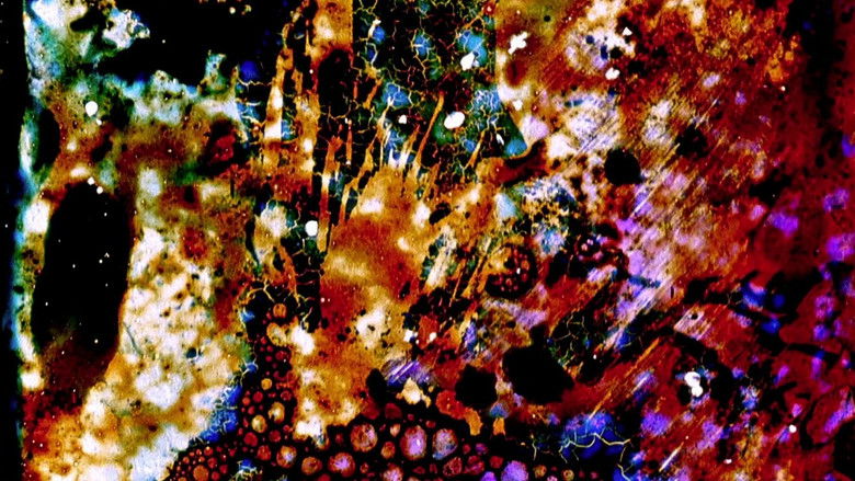 кадр из фильма Untitled (For Marilyn)