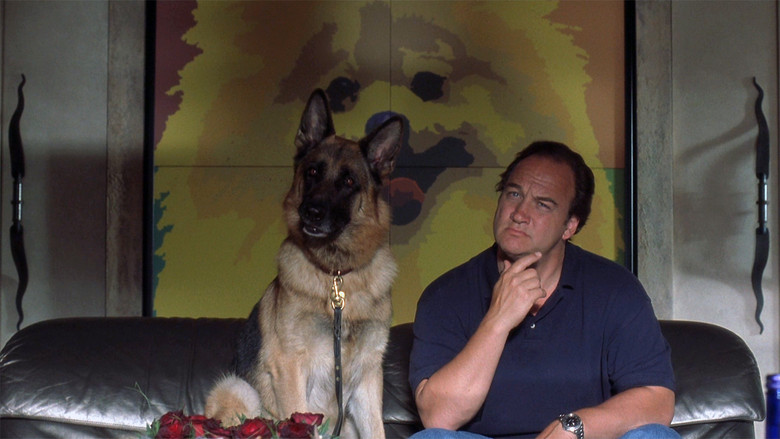 кадр из фильма К-9 III: Частные детективы