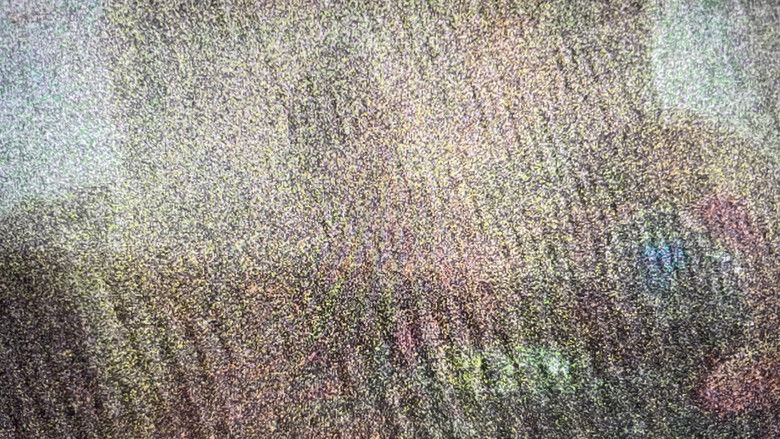 кадр из фильма By Time You See Me There Will Be Nothing Left