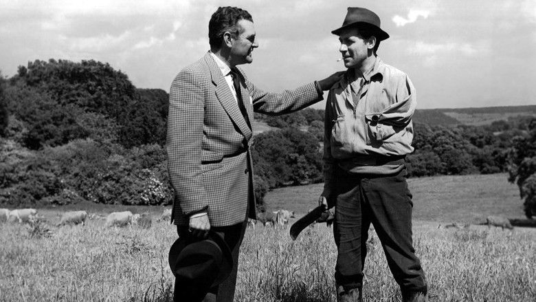 кадр из фильма The Intruder