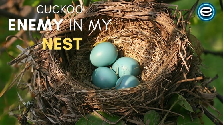 кадр из фильма Cuckoo: The Enemy In My Nest